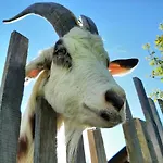 Oedmuehle - Chiemgau Karte *