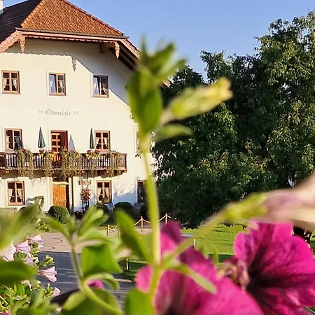Alloggio per agriturismo Oedmuehle - Chiemgau Karte *