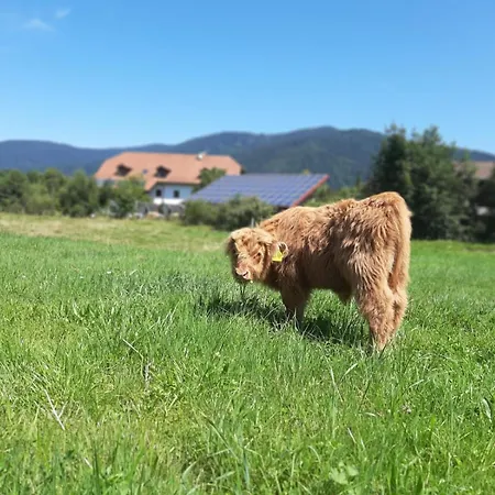 Alloggio per agriturismo Oedmuehle - Chiemgau Karte *