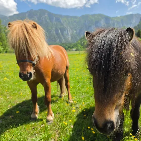 Alloggio per agriturismo Oedmuehle - Chiemgau Karte *