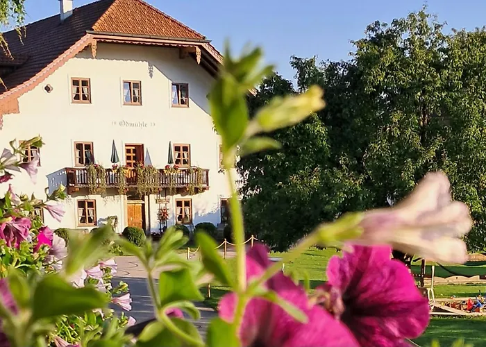 Feriegård Oedmuehle - Chiemgau Karte *